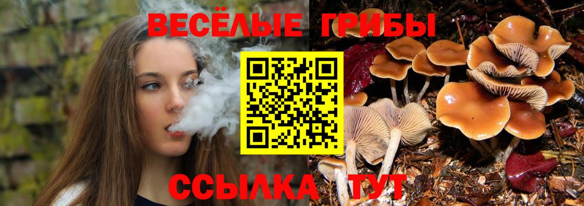 Галлюциногенные грибы мухоморы  Грязи 