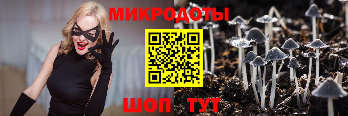 Галлюциногенные грибы Cubensis  Вход с VPN  Грязи 